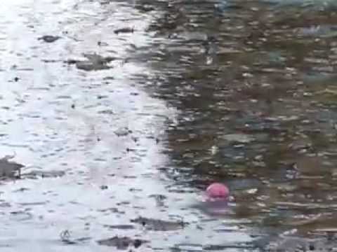 John Keats Ode to Autumn mood clip