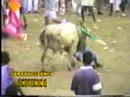 Colombian Bullfighting - Adventure Travel Spots