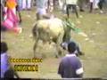 Colombian Bullfighting - Adventure Travel Spots