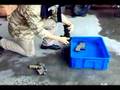 VFC SCAR water test