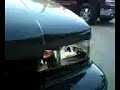 Fender Bender In 96' Caprice 9c1