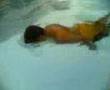 dyesebel