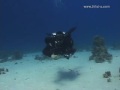 SCUBA: SMB Deployment