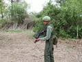 Vietnam war Re-enactors
