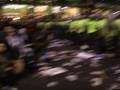 Gaza Protest - Battle of Kensington - Violent Clashes with Riot Police in London