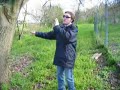 Atto notarile di confinanza