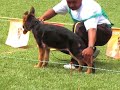 Cachorras 3-4 meses Cali R Caputi 10 07