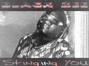 Black Zee - Stinging You