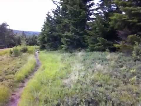 See video