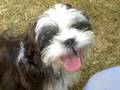 mcKenzie_07_21_08