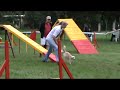 Click here to watch this video Anna Makosz i Melisa - Wrocław 2009