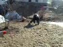 Annie and Koody blow up a Falling Spy Satellite