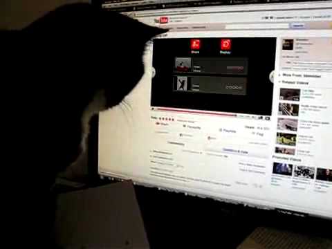 YouTube Preview Image