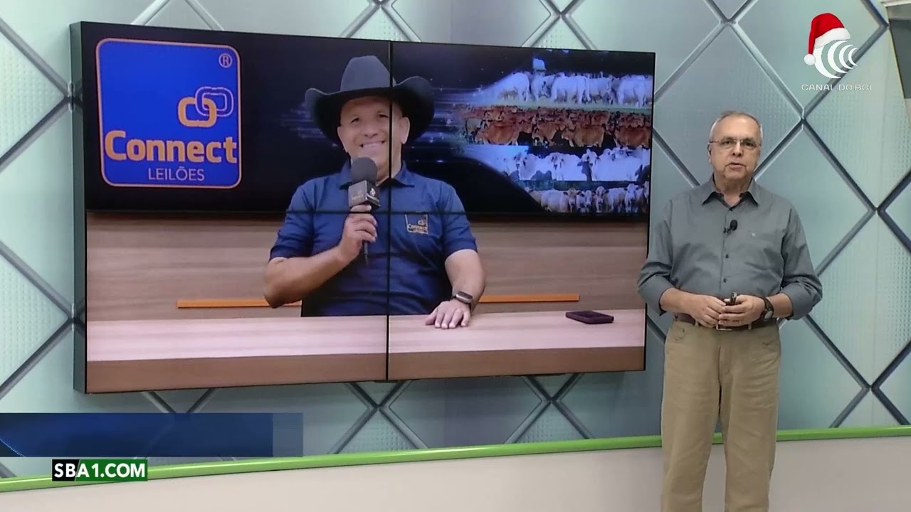Connect Leilões e SBA garantiram bons negócios em 2024