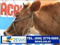 Rescate de valores patrios, P�rez Zeled�n, Costa Rica, Pte 2