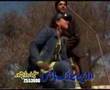  - MovieZen Video