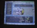 PMD2-Recruiting Legendaries-P13 Zapdos PMD2-Recruiting Legendaries-P13 Zapdos