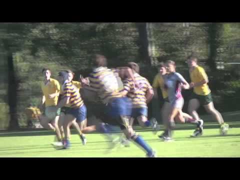 marist - Marist College Ashgrove 2nd XV Undefeated Premiers 2013.