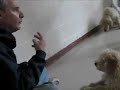 See video