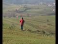 Depron Sloper on its first wind.avi