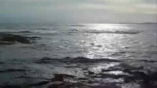 Gloria Scott - Too Much Love Making