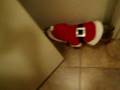 videos de Ginger is a doofus!!