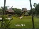 sendang putih