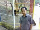 sendang putih