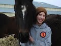 Phoenix Equine Rescue and Rehabilitation Center