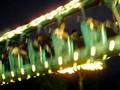 videos de SurfDance.AVI