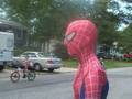 Spider-man's Day