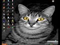 COMO COLOCAR FOTOS COMO PLANO DE FUNDO NA PAGINA INICIAL MSN