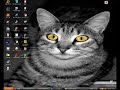 COMO COLOCAR FOTOS COMO PLANO DE FUNDO NA PAGINA INICIAL MSN