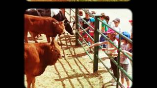 Viaje a la Granja Escuela