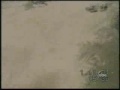 scare compilation