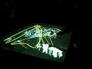 Share Festival Turin 2008 - 