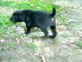 Picture 1768_Archos_.avi