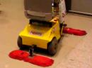 Chinese Mopper Chinese Mopper