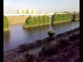 سيول جده 4