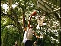 lil penny frozen moment