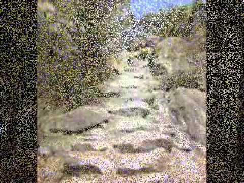 Llach -