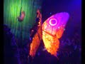 Tarzan de musical in scheveningen
