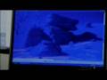videos de Mysterious Journeys: The Ghosts of Gettysburg (2007) (Part 3 of 5)