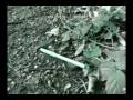 videos de garden explorer/paradise lander