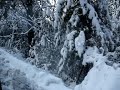 snowfall
