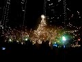chriatmas tree at the parade of lights :D