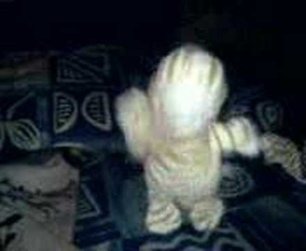 Jump-sytle Tiger XXL