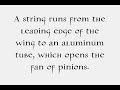 A wing mechanism A wing mechanism