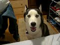 Kaiser Complaining