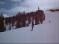 Johnson Family Ski Trip 2008